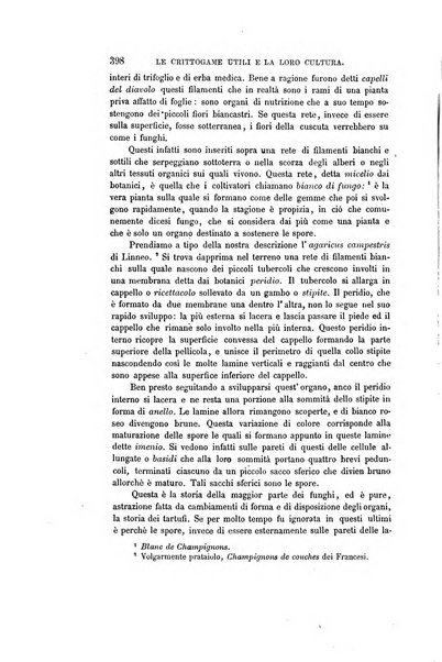 Nuova antologia di scienze, lettere ed arti