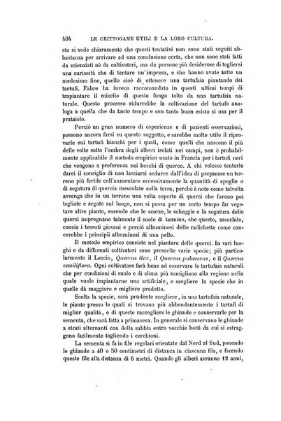 Nuova antologia di scienze, lettere ed arti