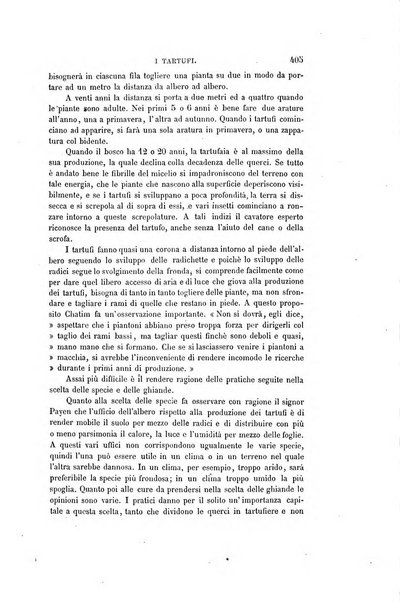 Nuova antologia di scienze, lettere ed arti