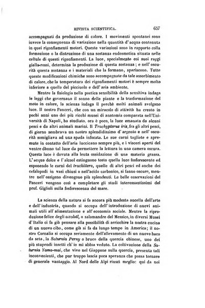 Nuova antologia di scienze, lettere ed arti