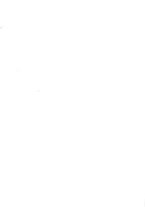 giornale/LO10020526/1872/V.21/00000003