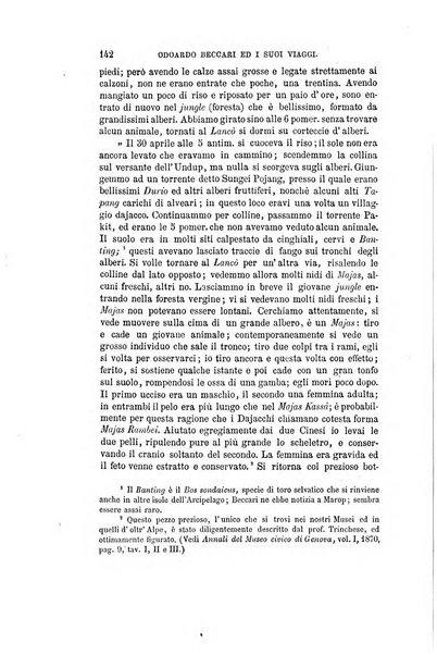 Nuova antologia di scienze, lettere ed arti