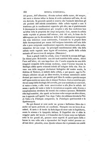 Nuova antologia di scienze, lettere ed arti