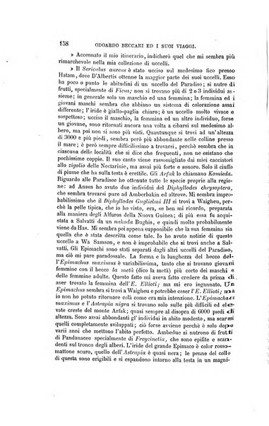 Nuova antologia di scienze, lettere ed arti