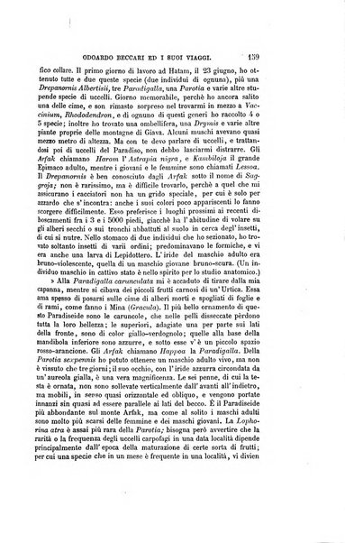 Nuova antologia di scienze, lettere ed arti