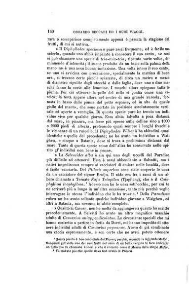 Nuova antologia di scienze, lettere ed arti