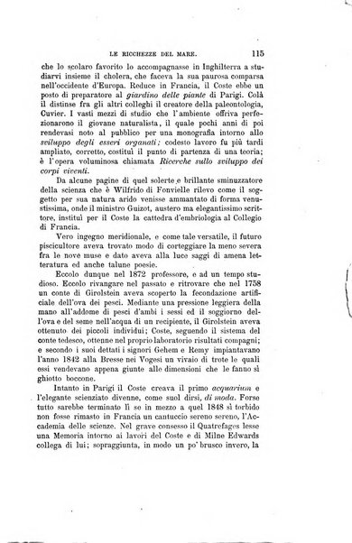 Nuova antologia di scienze, lettere ed arti