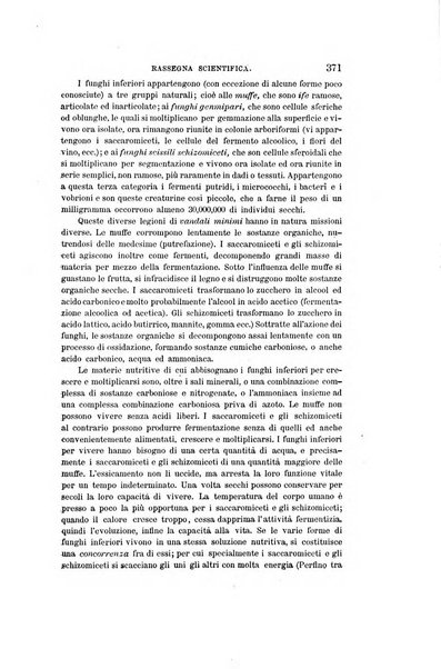 Nuova antologia di scienze, lettere ed arti