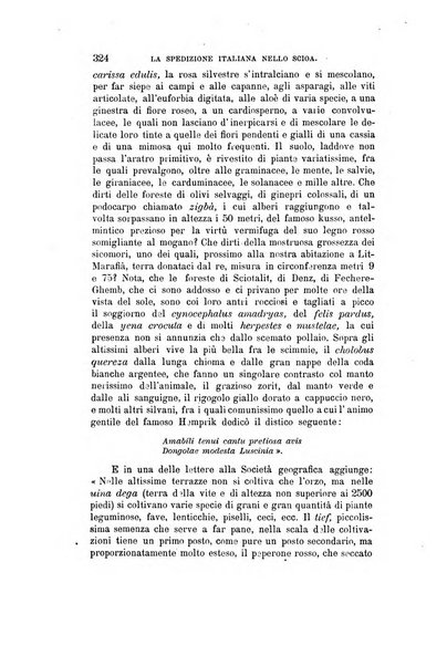 Nuova antologia di scienze, lettere ed arti