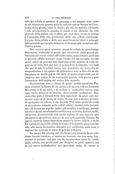 Nuova antologia di scienze, lettere ed arti