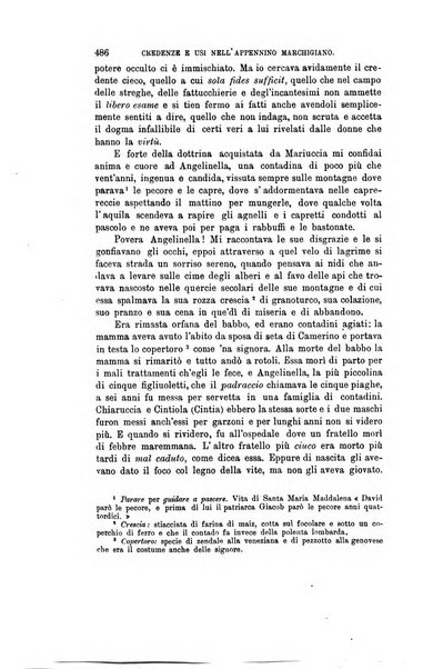 Nuova antologia di scienze, lettere ed arti