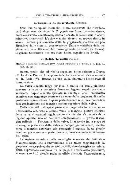 Giornale di geologia annali del R. Museo geologico di Bologna