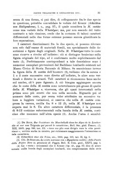 Giornale di geologia annali del R. Museo geologico di Bologna