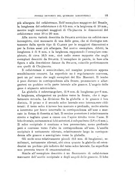 Giornale di geologia annali del R. Museo geologico di Bologna