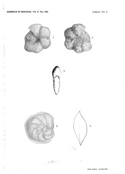 Giornale di geologia annali del R. Museo geologico di Bologna