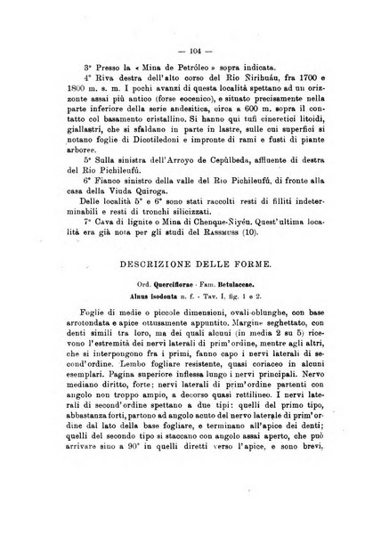 Giornale di geologia annali del R. Museo geologico di Bologna