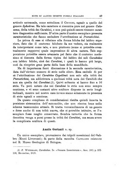 Giornale di geologia annali del R. Museo geologico di Bologna