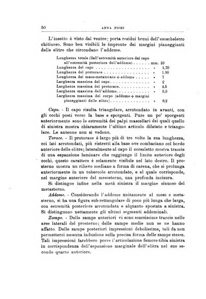 Giornale di geologia annali del R. Museo geologico di Bologna