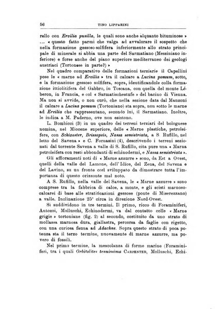 Giornale di geologia annali del R. Museo geologico di Bologna