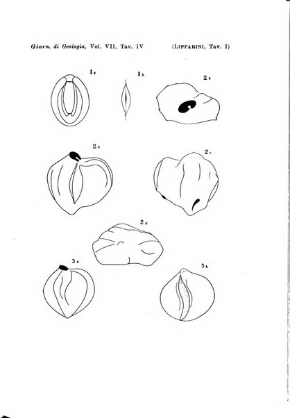 Giornale di geologia annali del R. Museo geologico di Bologna