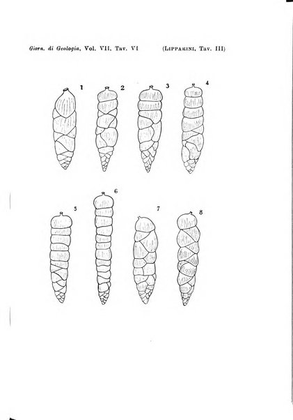 Giornale di geologia annali del R. Museo geologico di Bologna