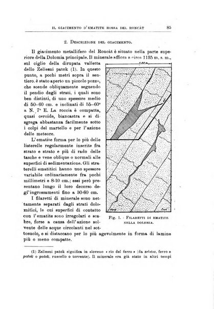 Giornale di geologia annali del R. Museo geologico di Bologna