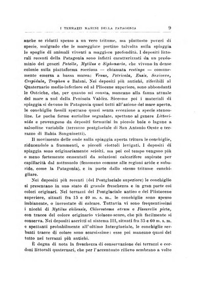 Giornale di geologia annali del R. Museo geologico di Bologna