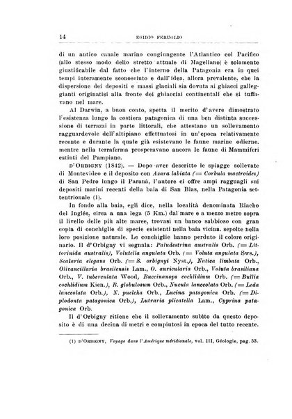 Giornale di geologia annali del R. Museo geologico di Bologna