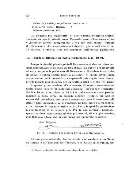 Giornale di geologia annali del R. Museo geologico di Bologna