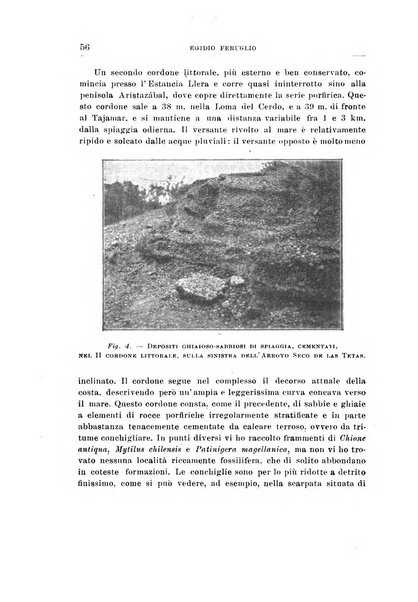 Giornale di geologia annali del R. Museo geologico di Bologna