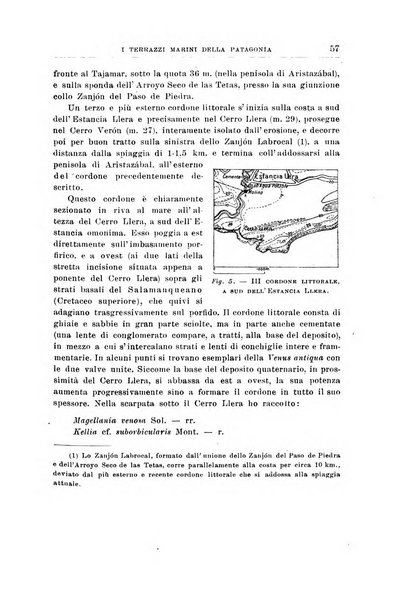 Giornale di geologia annali del R. Museo geologico di Bologna