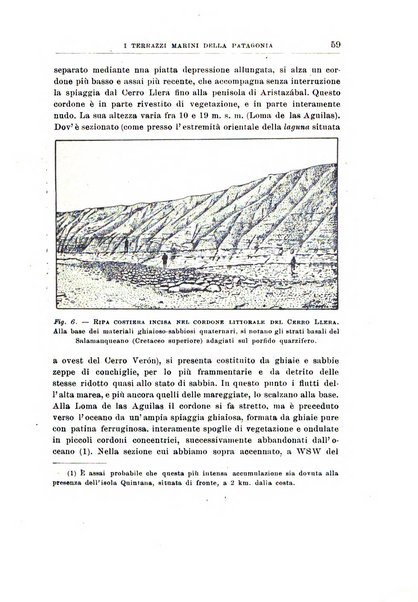 Giornale di geologia annali del R. Museo geologico di Bologna