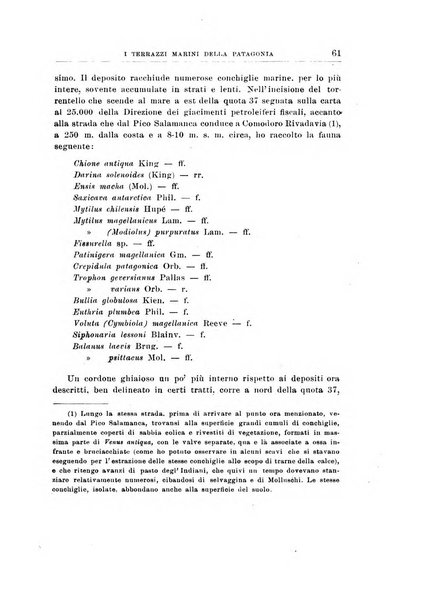 Giornale di geologia annali del R. Museo geologico di Bologna