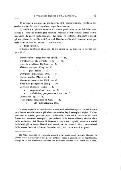 Giornale di geologia annali del R. Museo geologico di Bologna