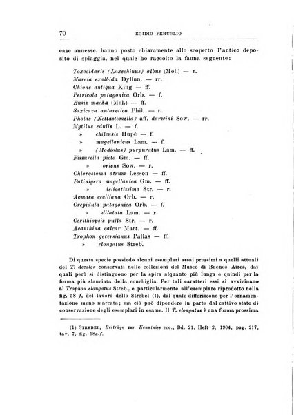 Giornale di geologia annali del R. Museo geologico di Bologna