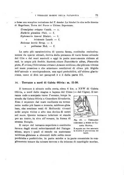 Giornale di geologia annali del R. Museo geologico di Bologna