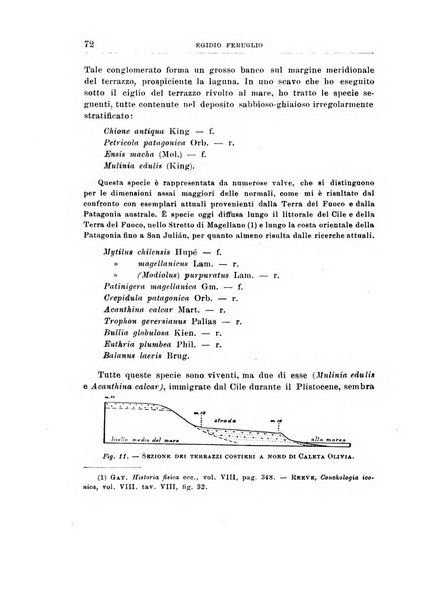 Giornale di geologia annali del R. Museo geologico di Bologna