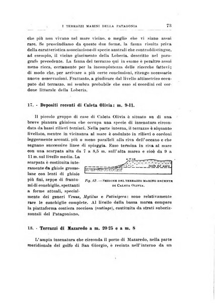 Giornale di geologia annali del R. Museo geologico di Bologna