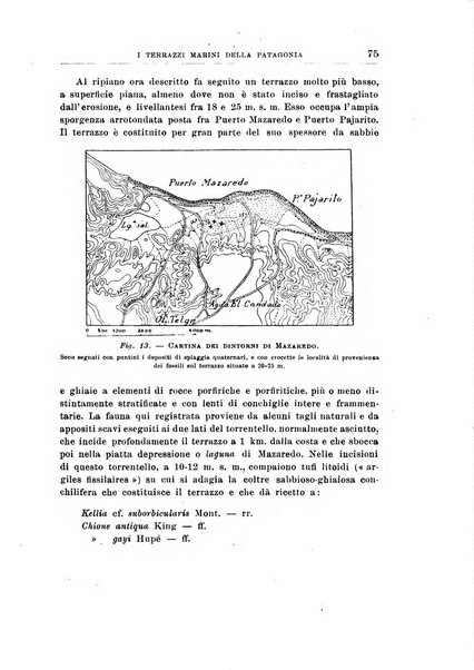 Giornale di geologia annali del R. Museo geologico di Bologna