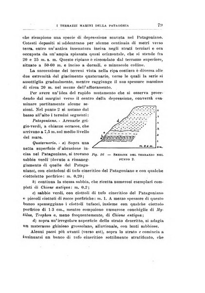 Giornale di geologia annali del R. Museo geologico di Bologna