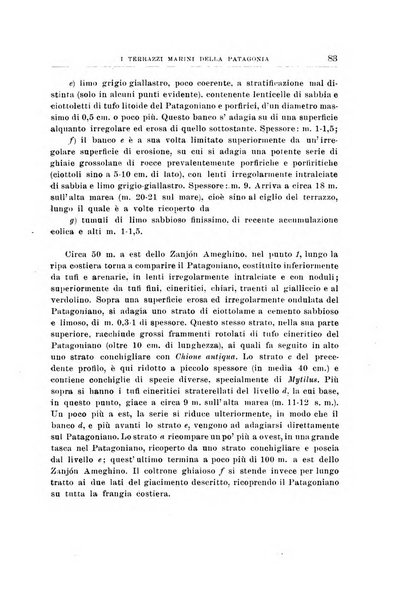 Giornale di geologia annali del R. Museo geologico di Bologna