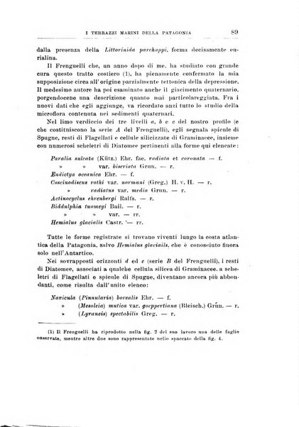 Giornale di geologia annali del R. Museo geologico di Bologna