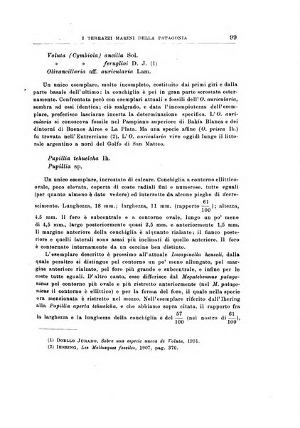 Giornale di geologia annali del R. Museo geologico di Bologna