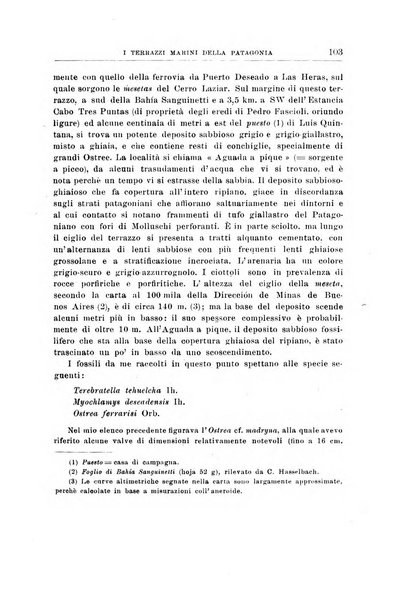 Giornale di geologia annali del R. Museo geologico di Bologna