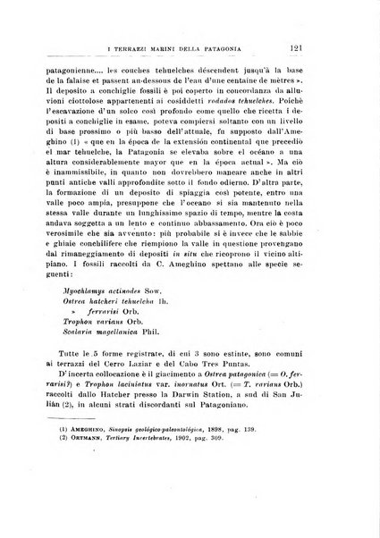 Giornale di geologia annali del R. Museo geologico di Bologna