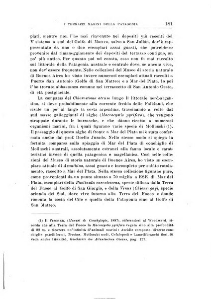 Giornale di geologia annali del R. Museo geologico di Bologna