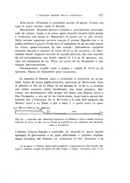 Giornale di geologia annali del R. Museo geologico di Bologna