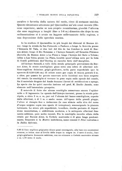 Giornale di geologia annali del R. Museo geologico di Bologna