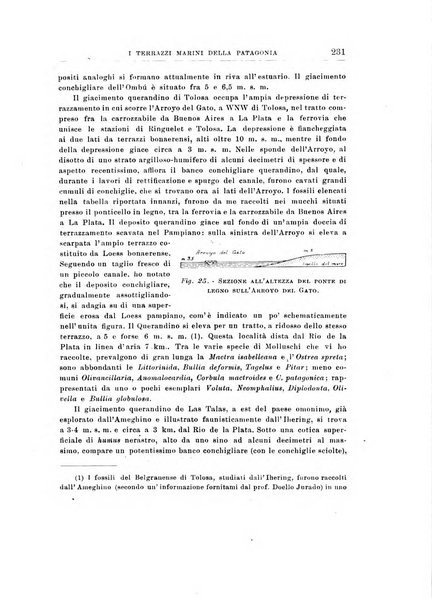 Giornale di geologia annali del R. Museo geologico di Bologna