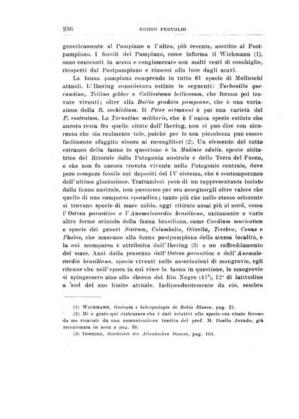 Giornale di geologia annali del R. Museo geologico di Bologna